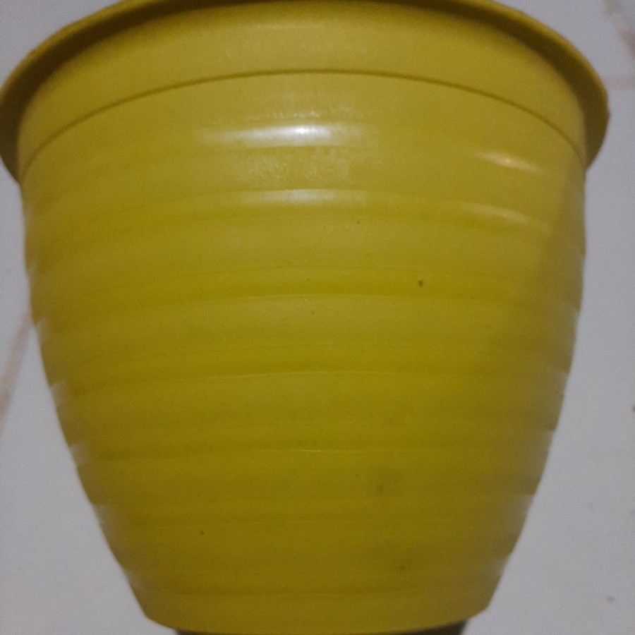 Pot Tawon SJP 20