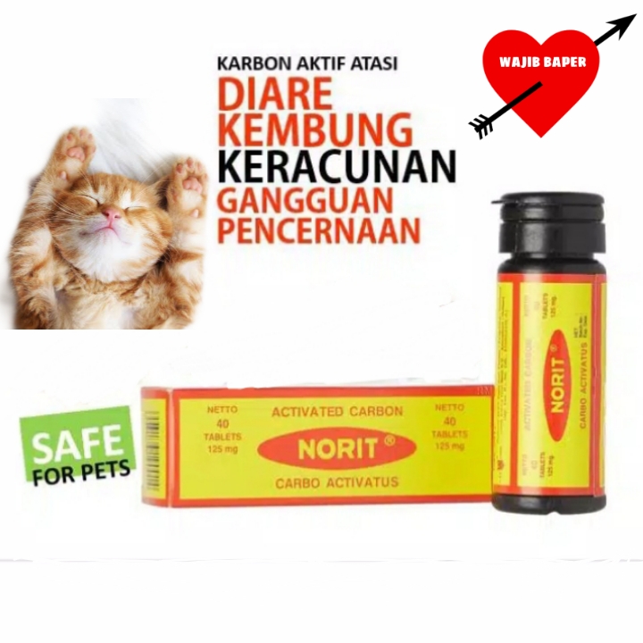 NORIT mengatasi keracunan dan diare pada kucing dan anjing
