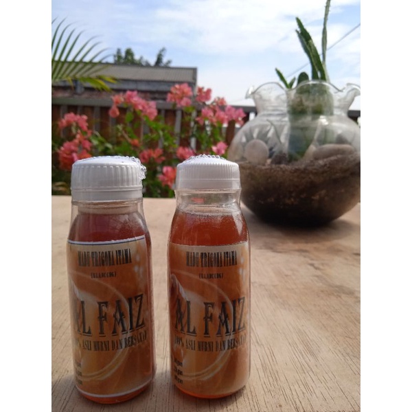 

Madu Klanceng Trigona Kelulut Teuweul Asli Murni 100% Original Nusantara Tanpa Campuran Al Faiz 140 gram