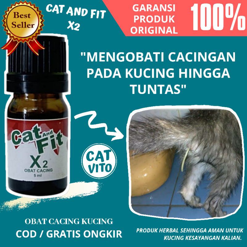 OBAT CACING KUCING / MENGOBATI KUCING CACINGAN CAT AND FIT X2