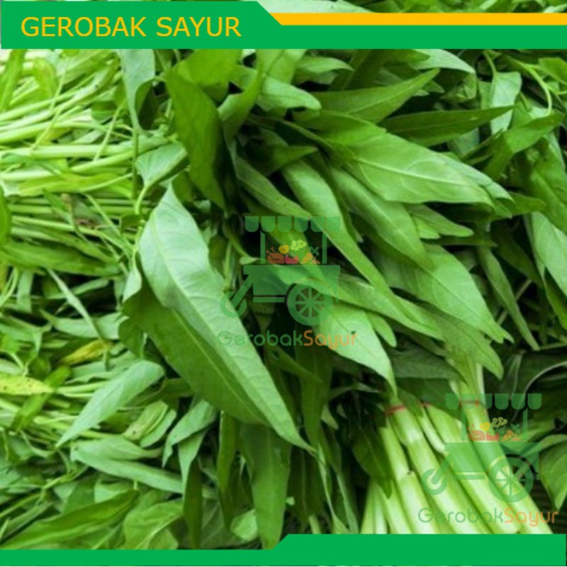

Sayur Kangkung 5 Ikat 950 g