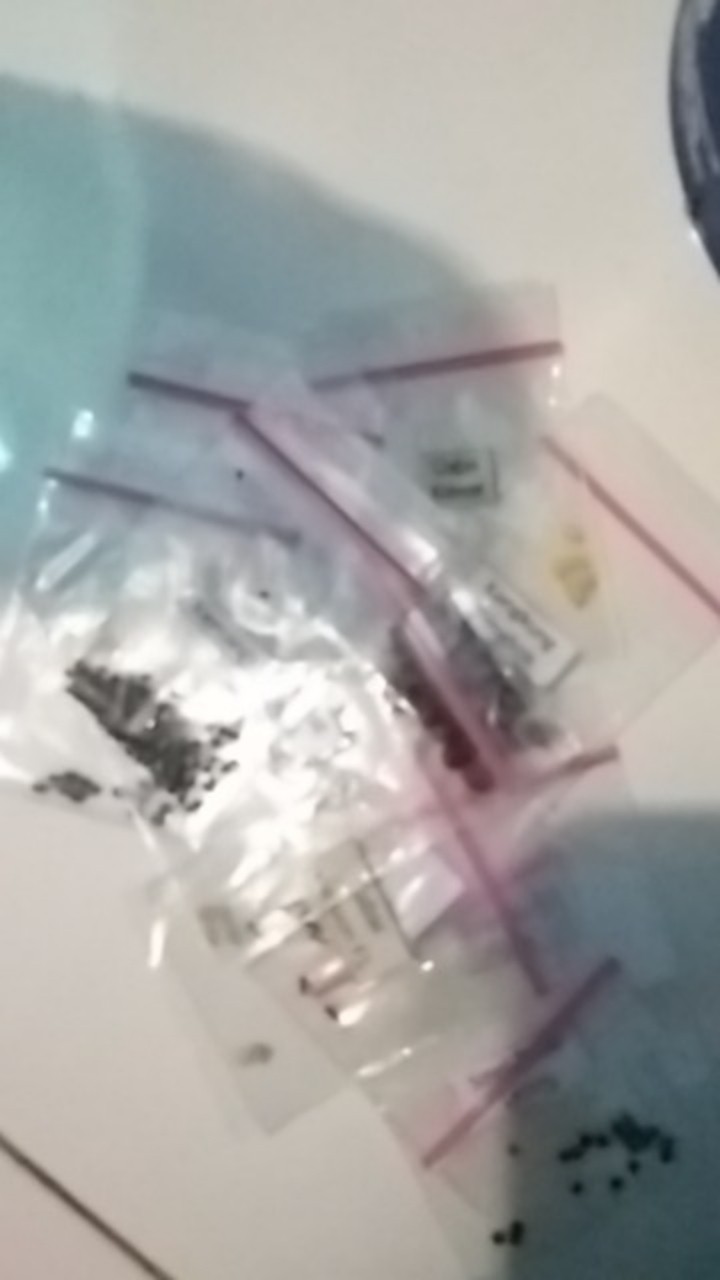 Polibag Polybag Eceran Ukuran 25 Cm X 25 Cm