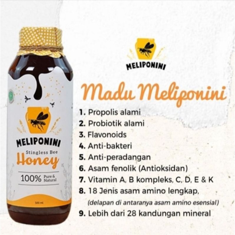 

Madu Meliponini MELIPONINI Super Asli