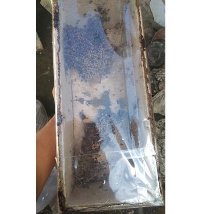 Harga Spesial.. lebah trigona/kelanceng/kelulut