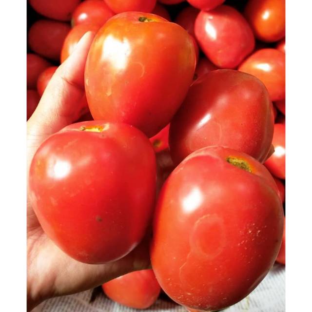 

Tomat Super 1 kg