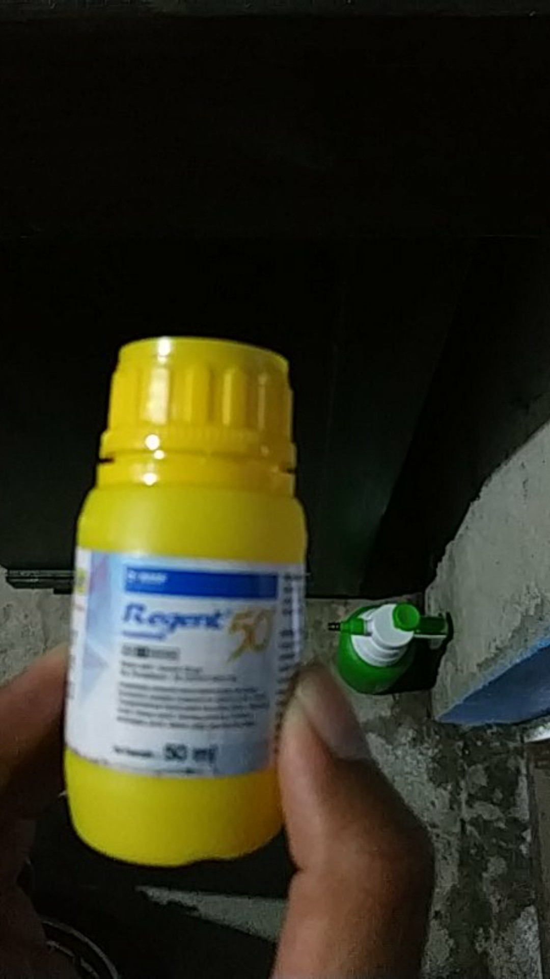 Regent Isi 50 Ml Anti Serangga