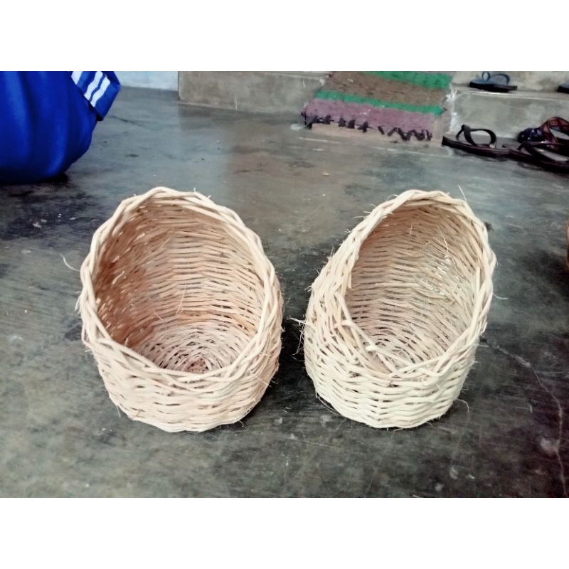 Sarang Burung Kenari Gowok  Sarang Rotan Tempat Bertelur