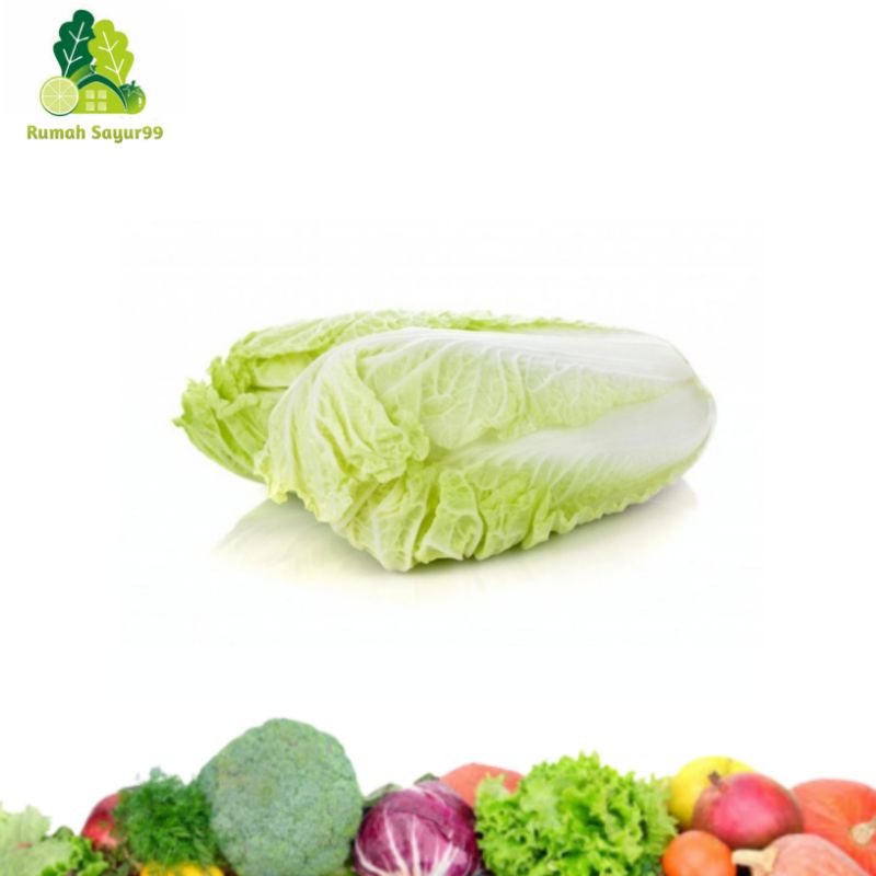 

Sawi Putih segar berkualitas