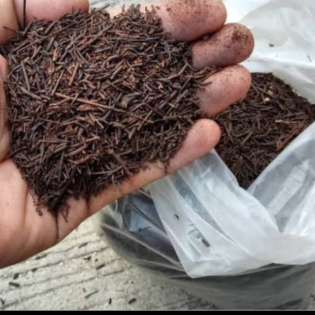 1kg Akar pakis cacah//media tanaman anggrek akar pakis cacah