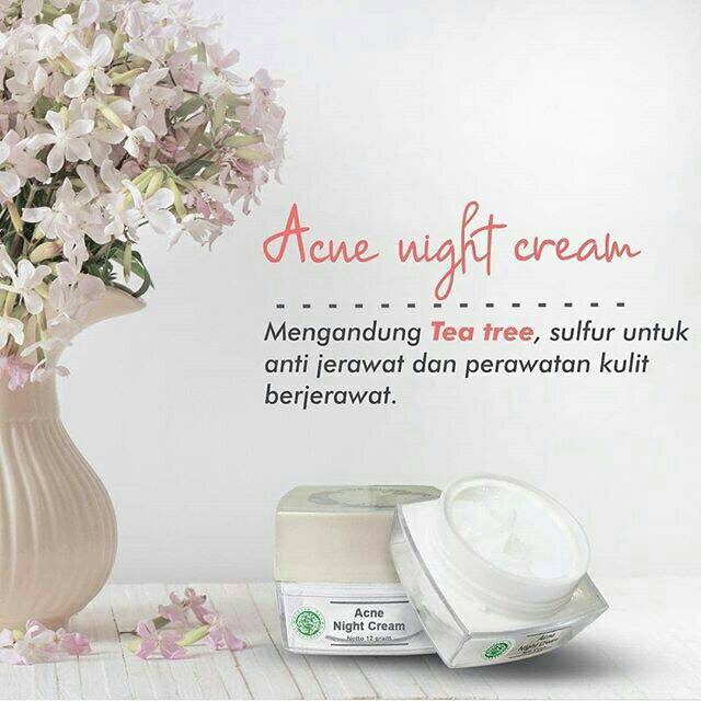 Acne Night Cream MS GLOW Original