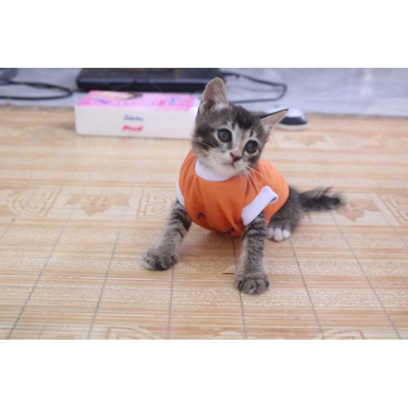 Kaos jersey juventus #28 lucu untuk kucing dan anjing / baju bola kuving &amp; anjing size S-XL