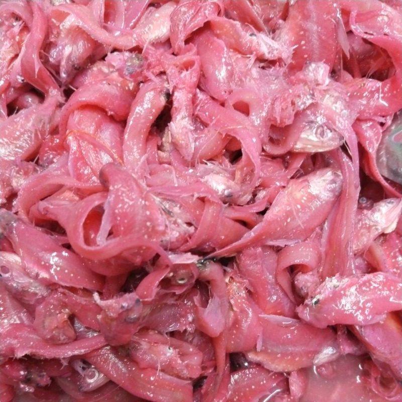 Fung mui koi/Fu mui koi/bulu ayam