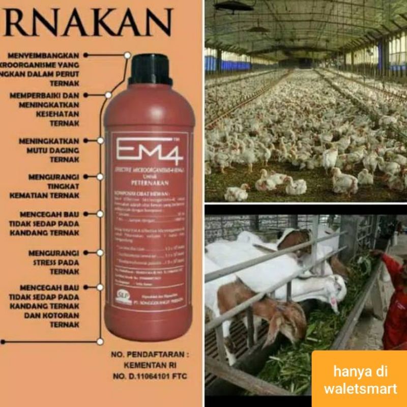 EM4 PETERNAKAN 1L Effective Microorganisms-4 untuk Sapi Kambing Ayam Burung Bebek Kelinci
