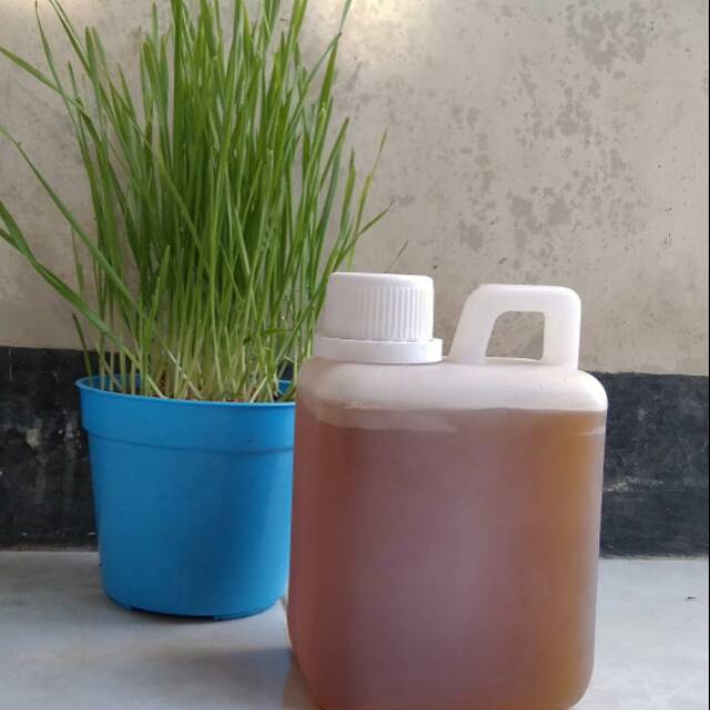 

Madu lebah asli (Garansi) 700 g
