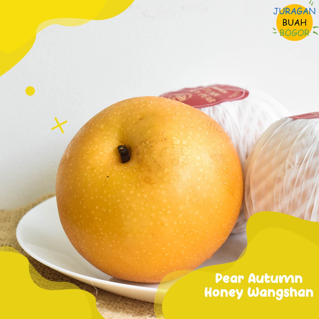 

PEAR AUTUMN WANGSHAN | BUAH PEAR WANGSHAN AUTUMN HONEY
