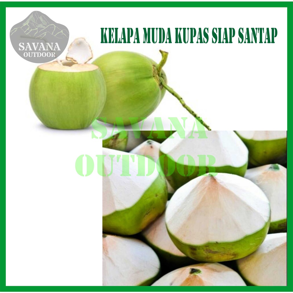 

Buah Kelapa Muda Per 1 Buah/ Kelapa Muda Fresh/ Kelapa Muda segar/ Fresh Coconut