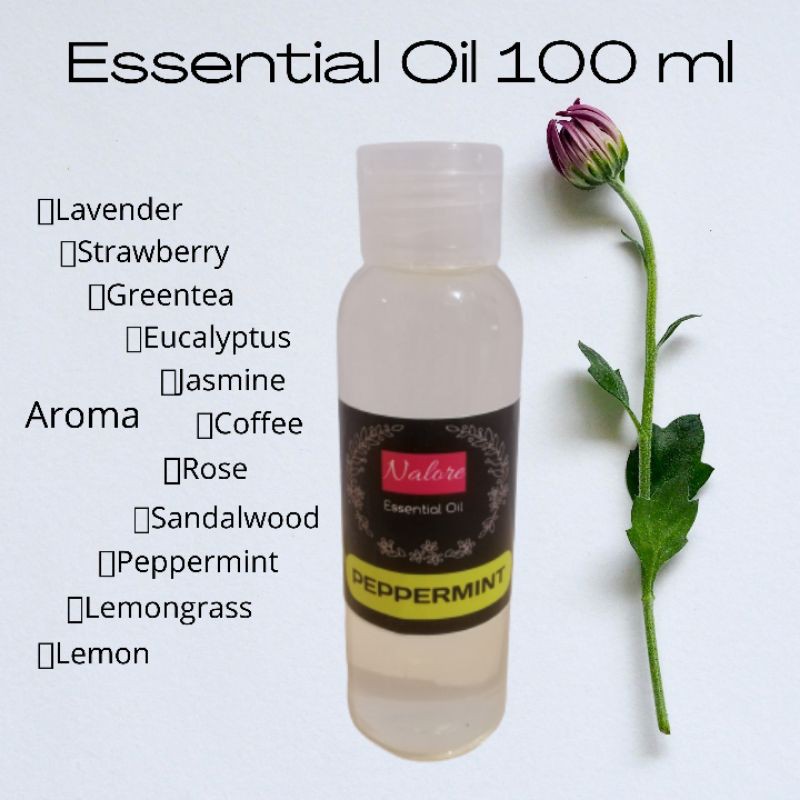 Essential Oil Aromatherapy 100 ml humidifier diffuser