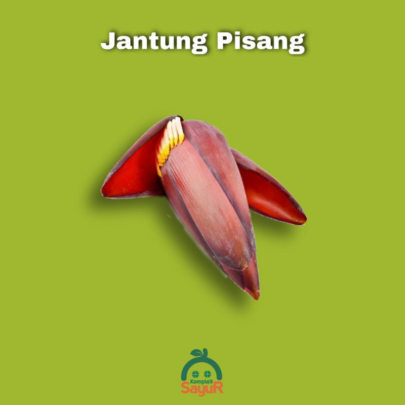 

Jantung Pisang / Bunga Pisang Segar Fresh Perbuah Dipetik langsung Dari Kebun