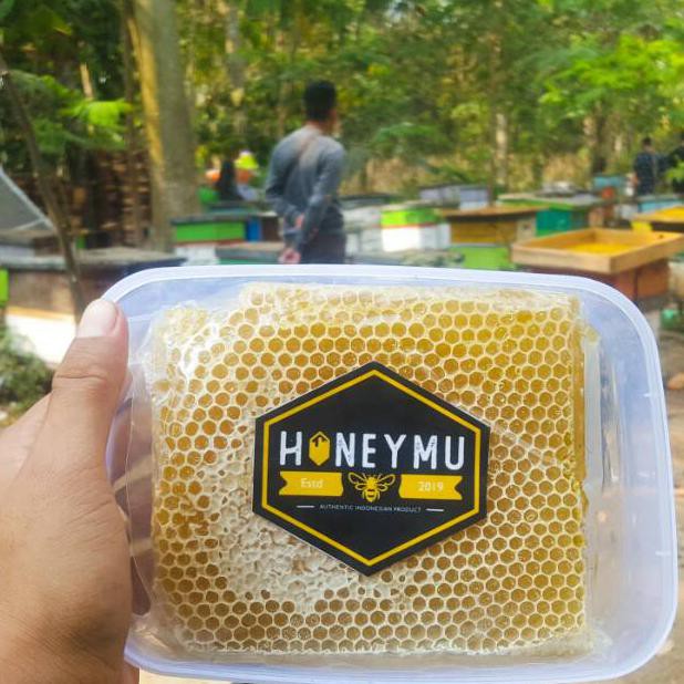 

BISA COD 500gr COD Sarang Madu Melifera TERUJI [Kode 1|Kode 2|Kode 3|Kode 4|Kode 5|Kode 6|Kode