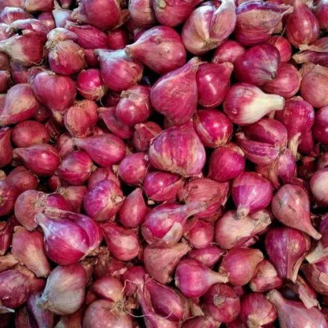 BAWANG MERAH SEDANG - 500gram