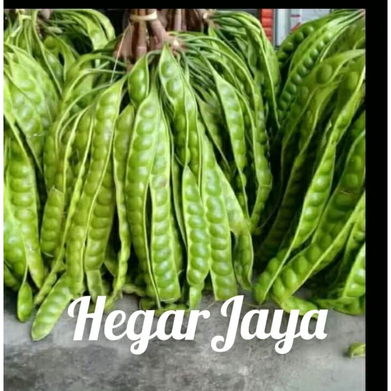 

pete 1 papan 6000