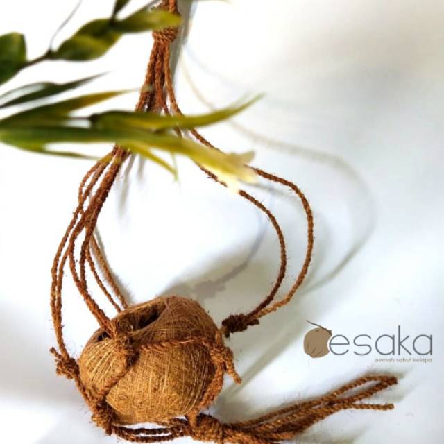  Pot  model  Kokedama gantung sabut  kelapa  Shopee Indonesia