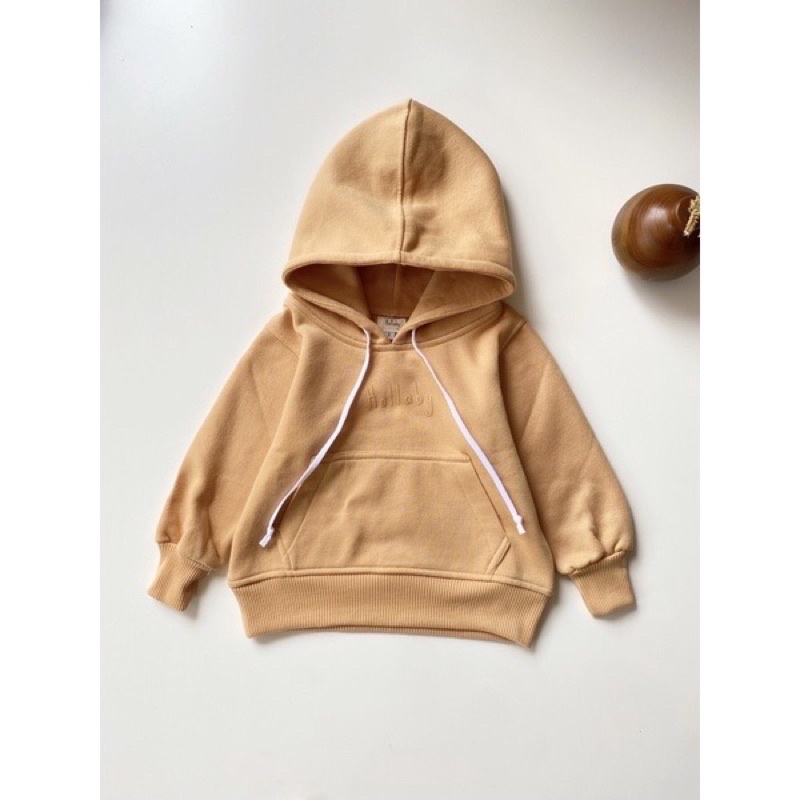 Sweater anak hoodie hollaby