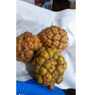 

RB Buah Kecombrang / Cikala Patikala 250gr
