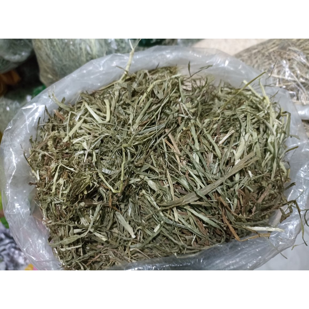 Makanan Kelinci Rumput Daily Timothy Hay Best Choice 100% Organic 1Kg
