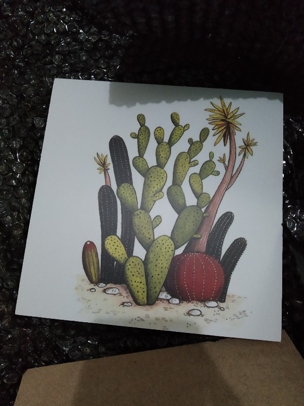 Wp Project Hiasan Dinding Walldecor Pajangan Dinding Shabby Chic Kaktus Succulents