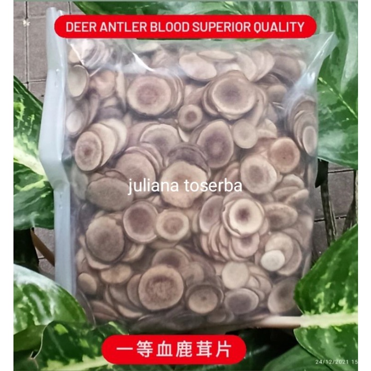 

Red Deer Antler Grade AAA Shan Xue Lu Rong 血鹿茸 Beludru Tanduk Irisan Rusa 1 gram