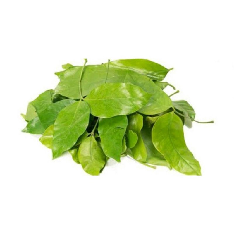 daun melinjo 50 gram daun so 50gr