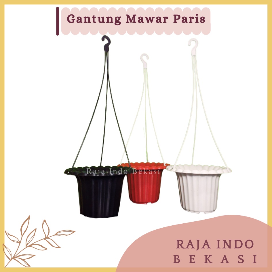 RAJAINDOBEKASI Pot Gantung Mawar Paris 20 Cm Putih Hitam Coklat Merah Bata Pot Gantung Plastik Lion Star Dinding Putih Murah Unik Sabut Kelapa