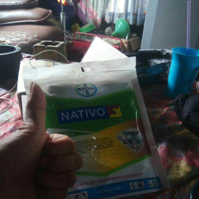 Nativo 2x50 Gr (trifloksistrobin 25% + Tebukonazol 50%)