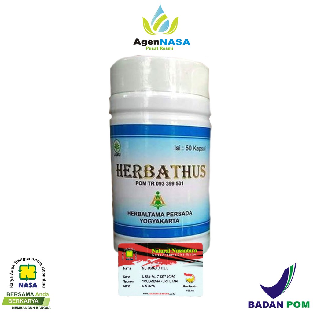 

HERBATUS UNTUK ASAM URAT NYERI SENDI HERBATHUS NASA