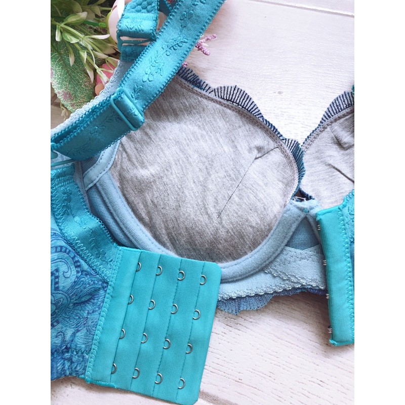 Bra (K-C25) Pakaian dalam wanita / dengan kawat dan busa push up