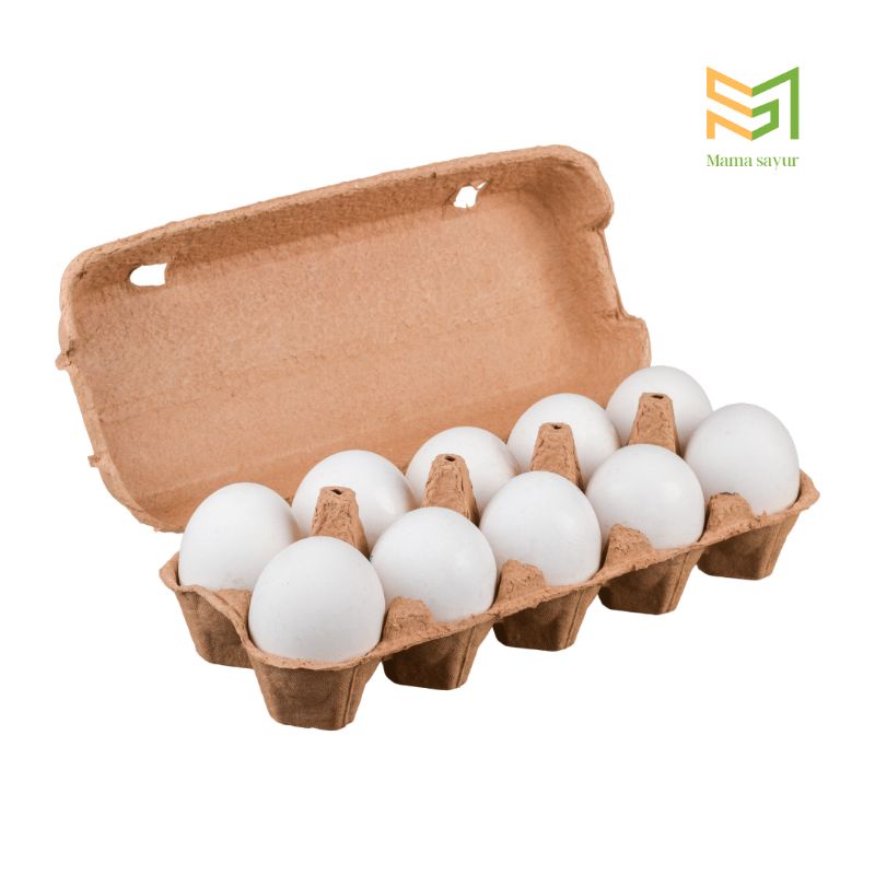 

Telur ayam kampung fresh per butir