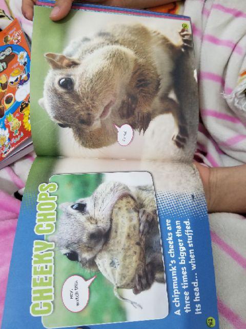 Swallow Kamper Napthalene Disk Ball Putih 300 Gram