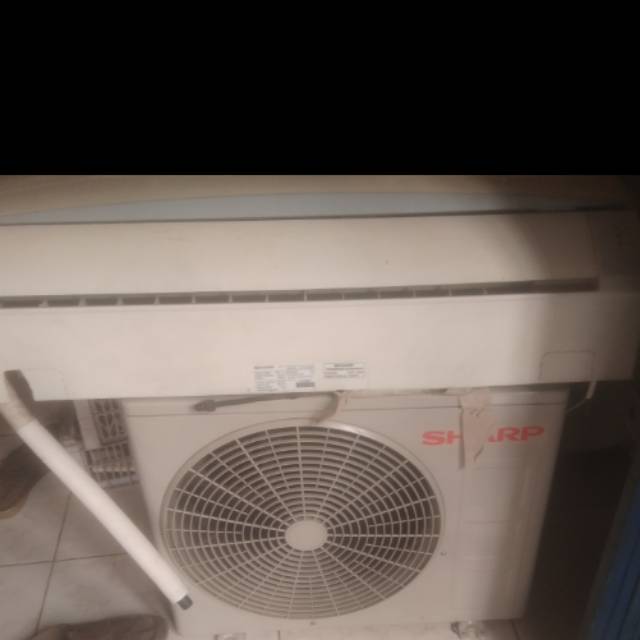 Ac sharp thailan 1/2pk