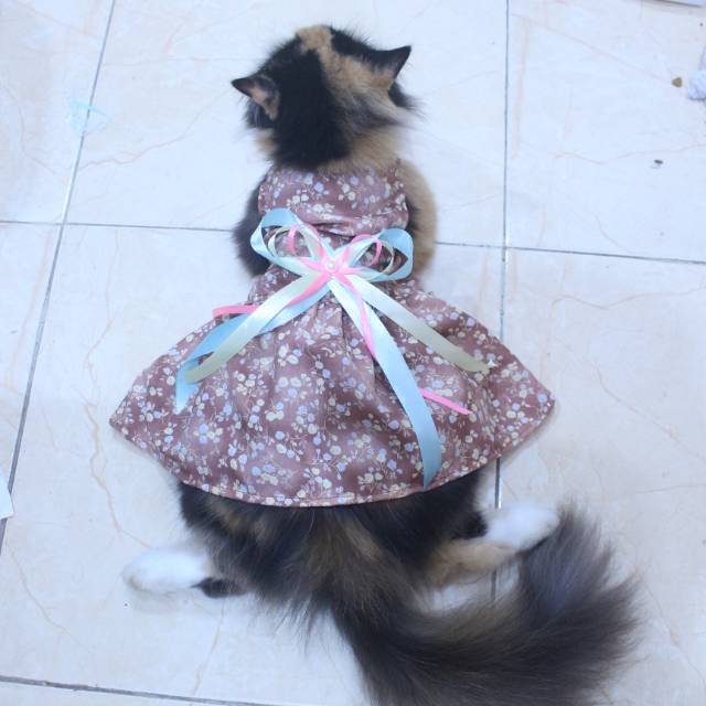 Dress coklat motif bunga-bunga lucu untuk kucing dan anjing / baju kucing murah size S-XL