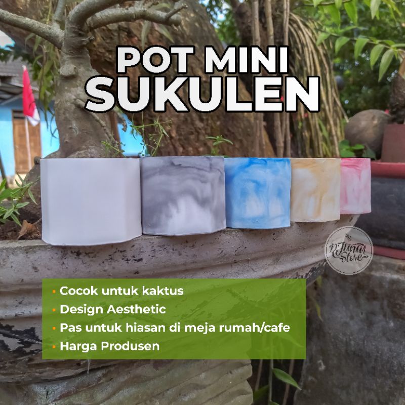 [HARGA PRODUSEN] POT MINI SUKULEN | POT KAKTUS MINI | POT MINI AESTHETIC