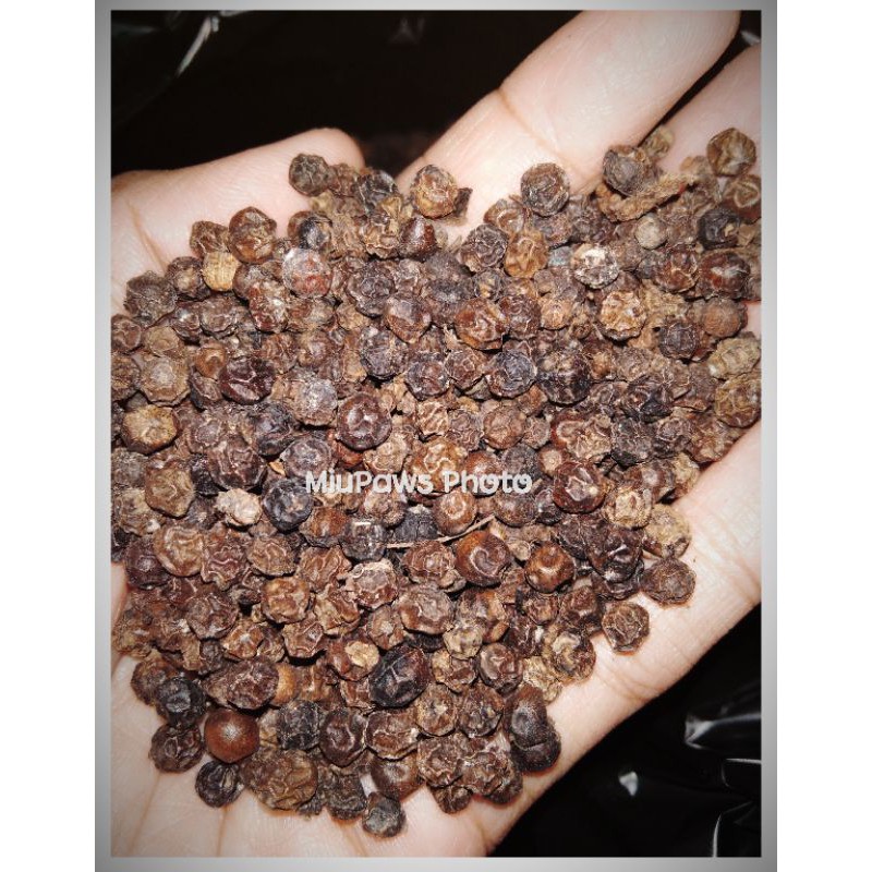 

(100 Gram) Lada Hitam Butir Merica Mrica Whole Black Pepper Blackpepper