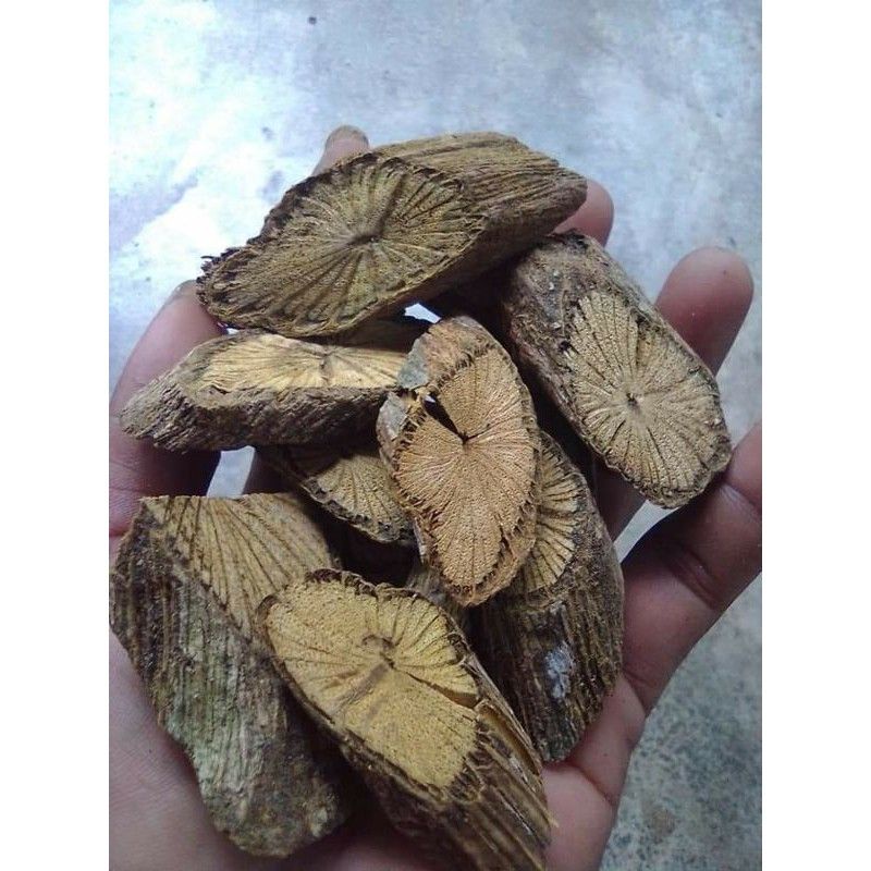 Medan Termurah 1000 gram/ 1 Kg Herbal alami Akar Bajakah kuning Asli Kalimantan