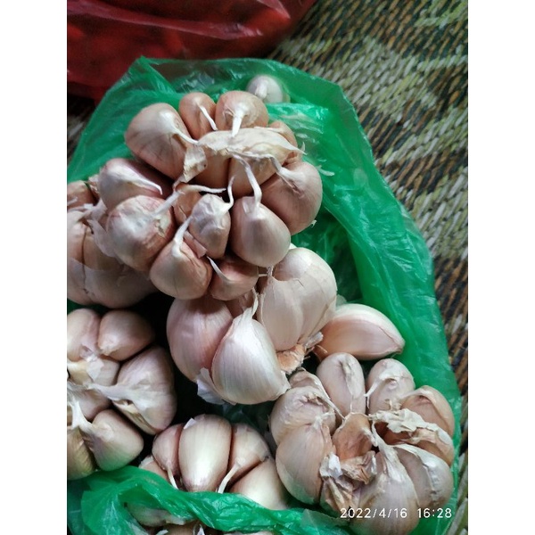 

bawang putih 250gr