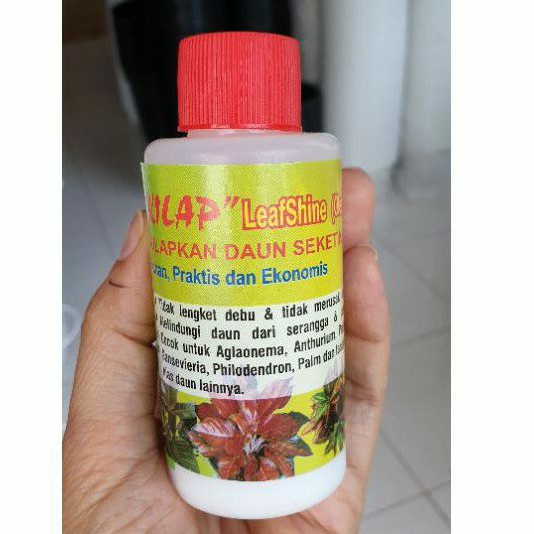 LOTION SEMIR KILAP DAUN LEAFSHINE OLES 100ml aman praktis ekonomis