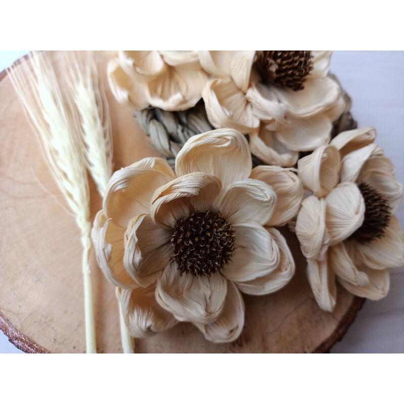 Bunga Klobot Jagung marigold Teratai