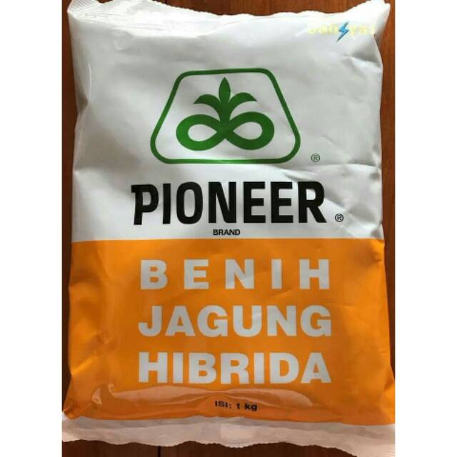 Jagung Hibrida P21 benih Pioneer - 1.000 gr