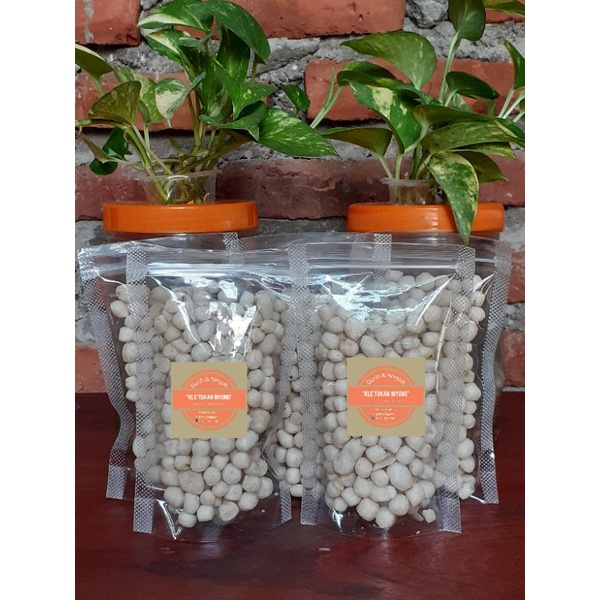 

kle'tukan inyong pilus khas tegal