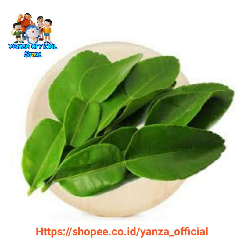 

Daun Jeruk / Daun Jeruk Purut / Daun Jeruk Pecel 1 Pack