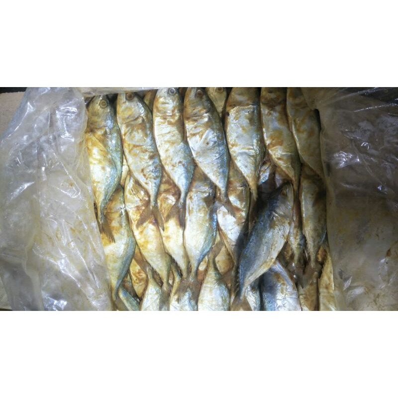 

IKAN PEDA MERAH